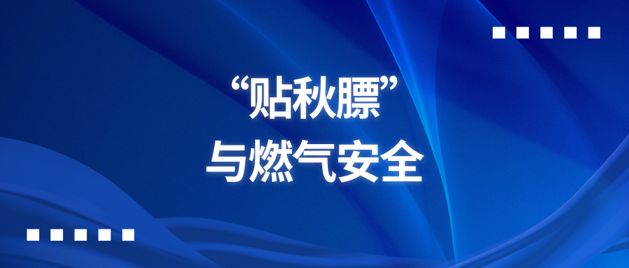 “贴秋膘”与燃气安全——聚焦催化可燃传感器在厨房场景的应用